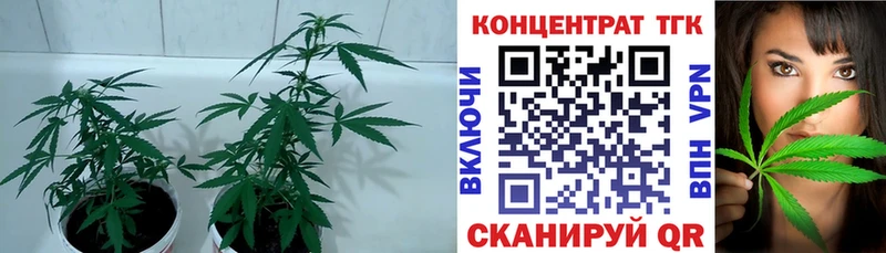 Дистиллят ТГК концентрат  omg сайт  Ханты-Мансийск 